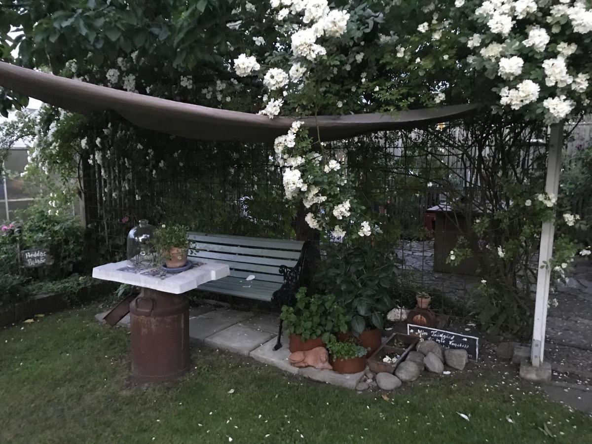 B&B Bland Ormbunkar Och Rosor Falkenberg Dış mekan fotoğraf