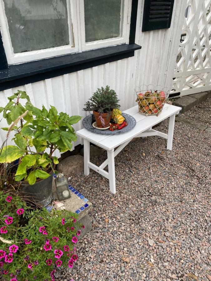 B&B Bland Ormbunkar Och Rosor Falkenberg Dış mekan fotoğraf